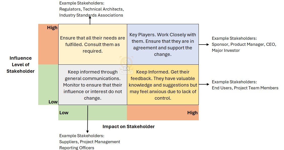 Stakeholder RACI Matrix Example - BA Scope